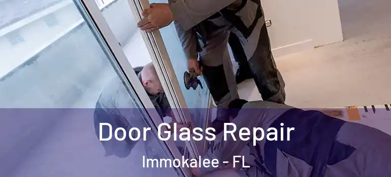 Door Glass Repair Immokalee - FL