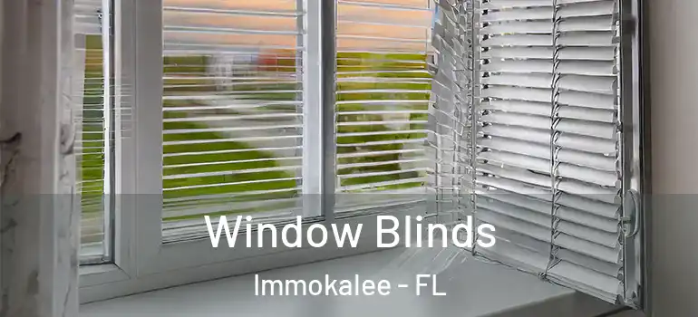  Window Blinds Immokalee - FL